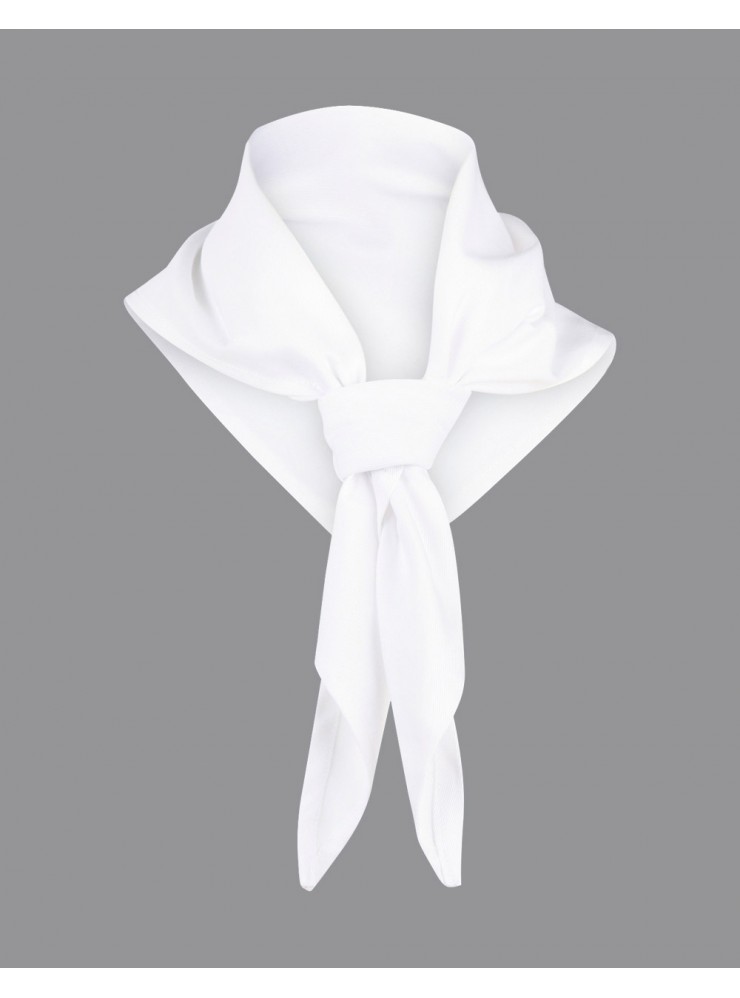 CS01 Chef's Scarf